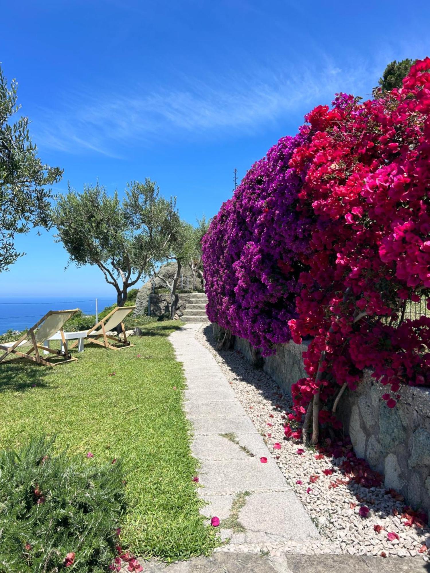 Villa Inarime Ischia Exterior foto
