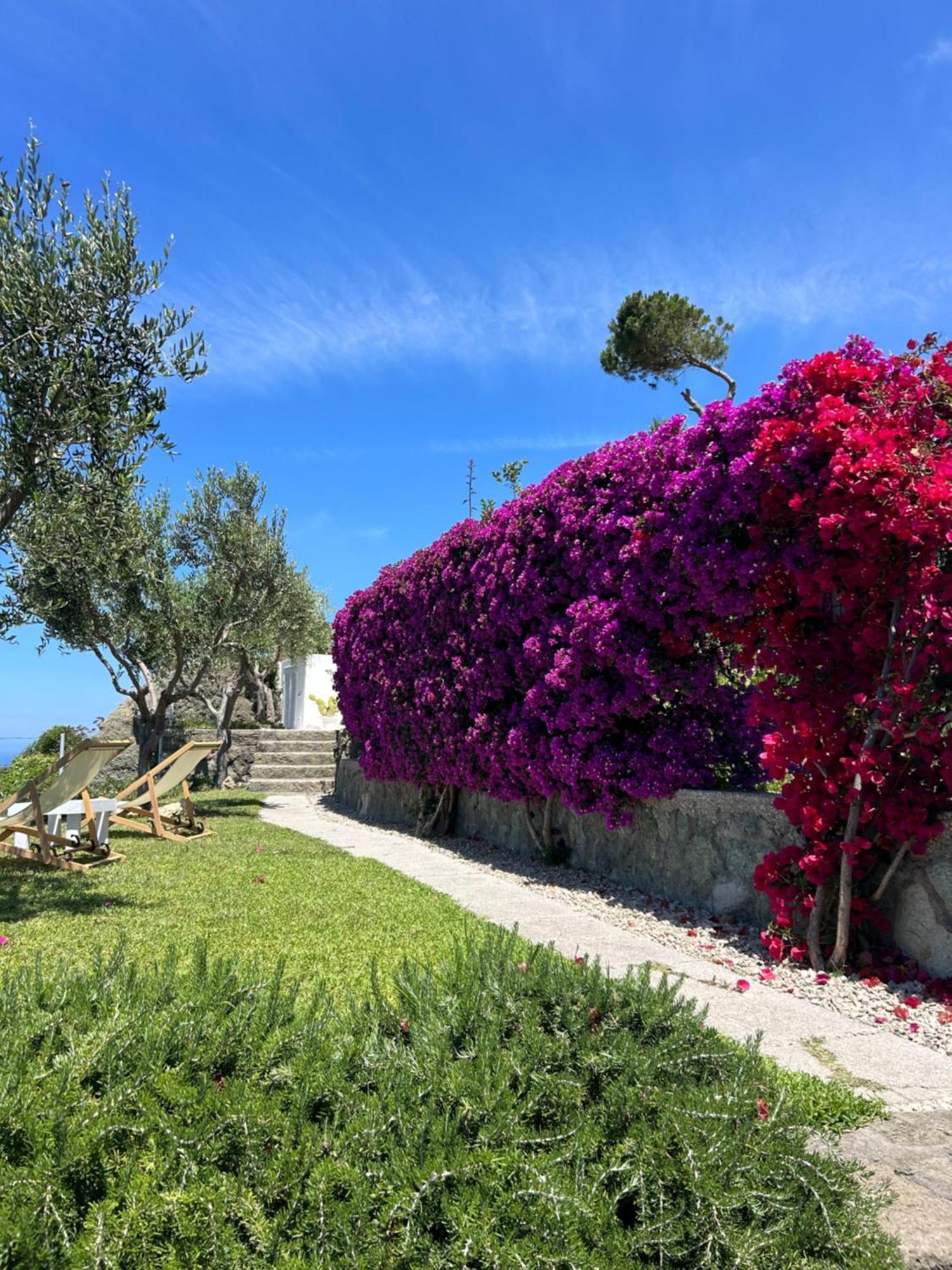 Villa Inarime Ischia Exterior foto
