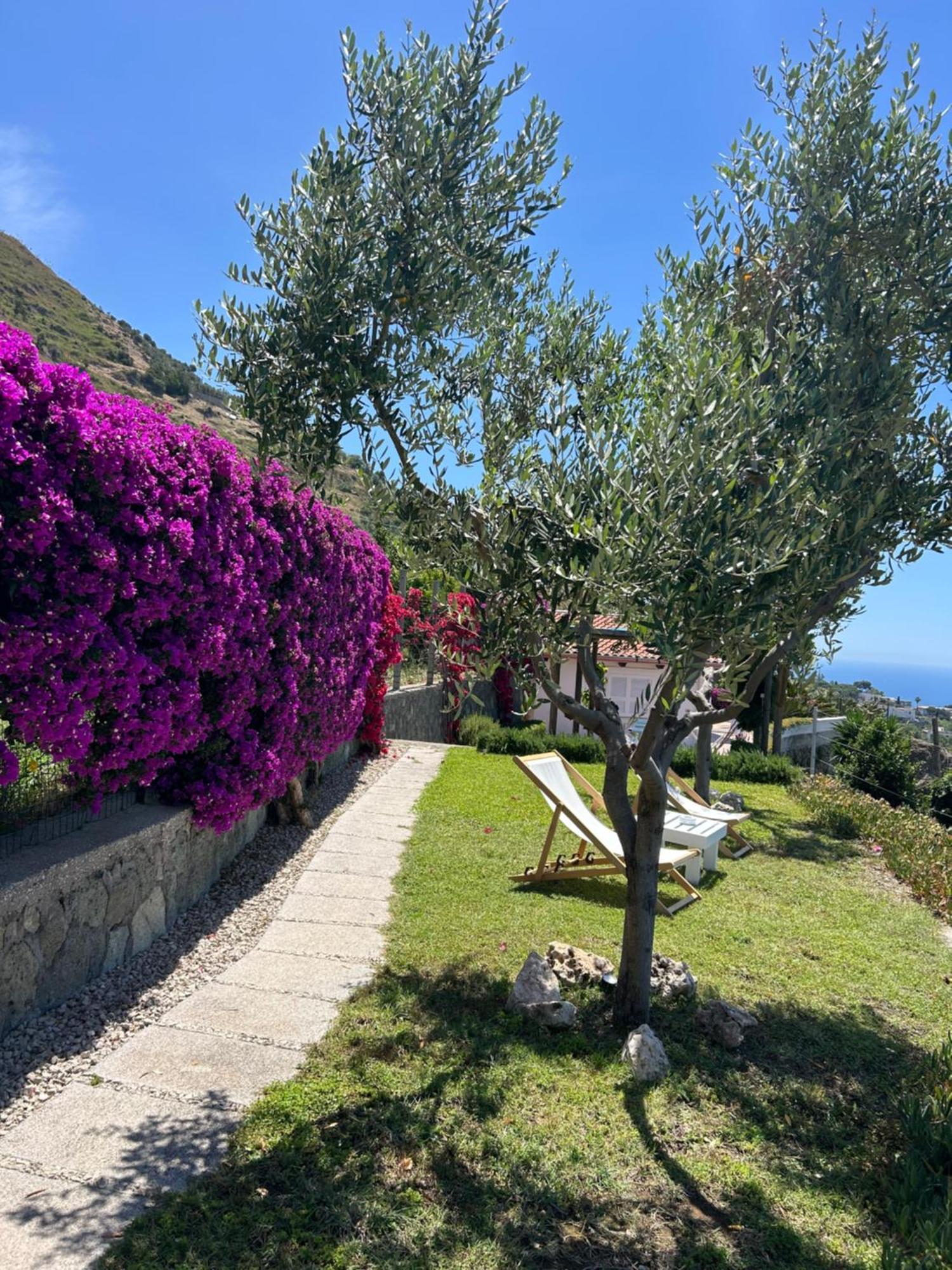 Villa Inarime Ischia Exterior foto