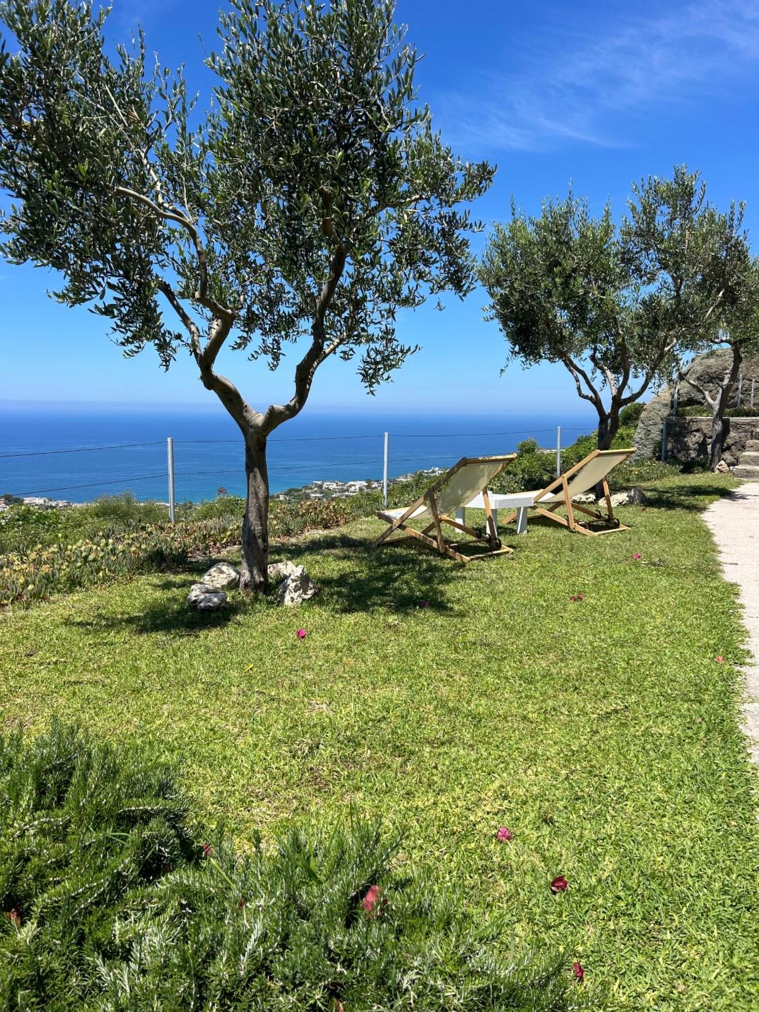 Villa Inarime Ischia Exterior foto