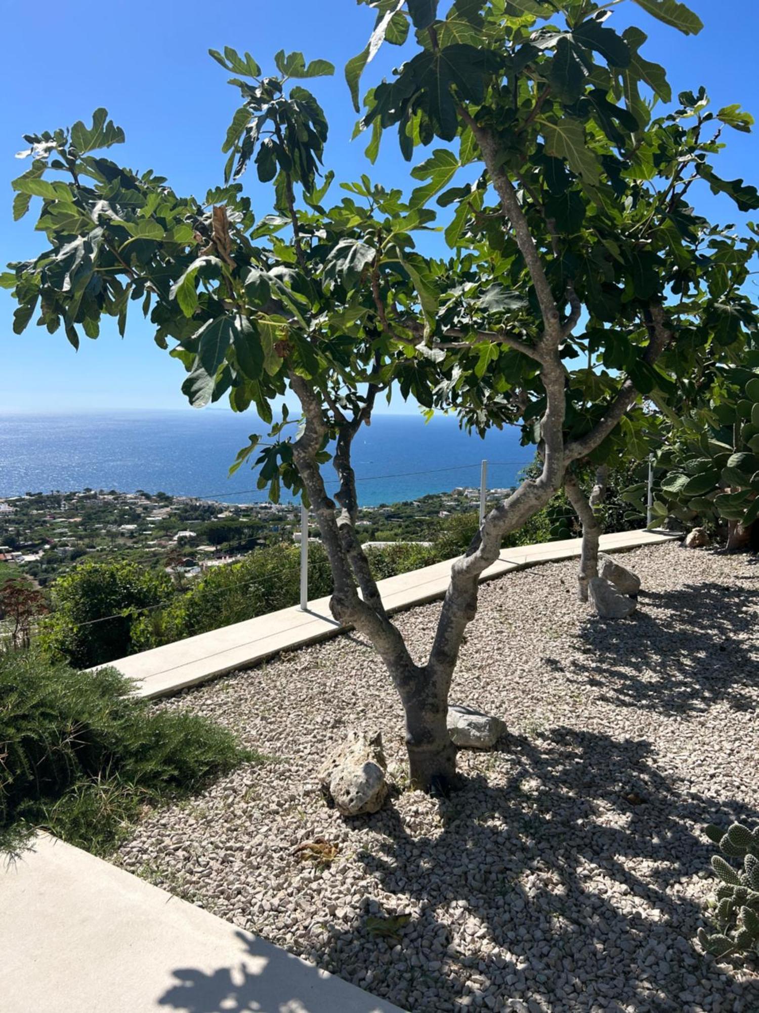Villa Inarime Ischia Exterior foto